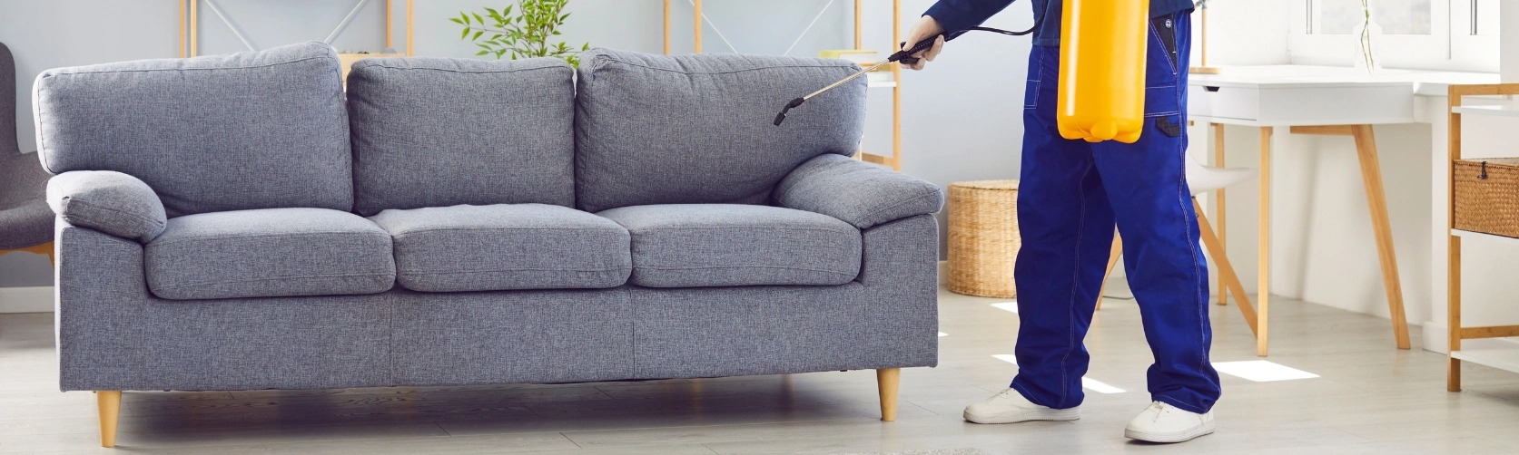 Pest control Services in Thiruverkadu