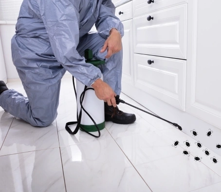Mosquito Pest Control Services in Thiruverkadu